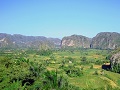 vinales